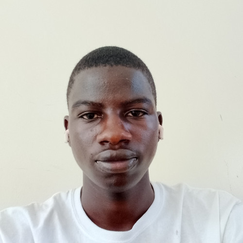 Andrew  M. profile photo