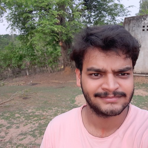 Shikhar  T. profile photo