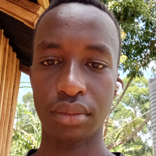 David M. profile photo