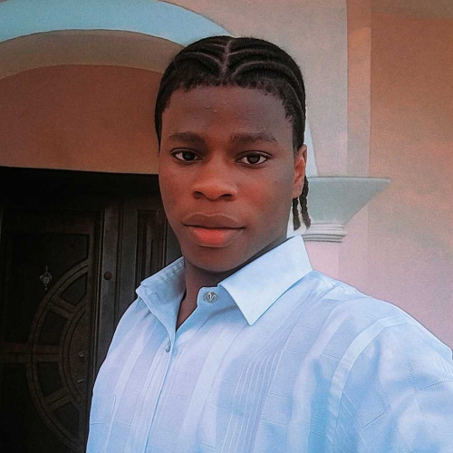 limitless P. profile photo