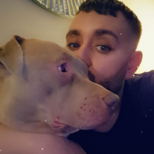 Gino C. profile photo