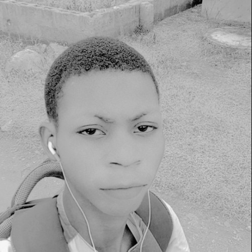 Adepoju  O.