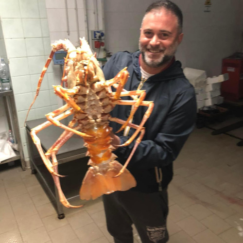 Giovanni G. profile photo