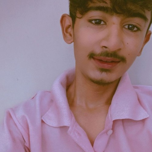 Vaibhav  S. profile photo