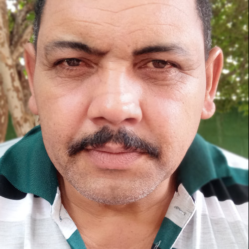 Daniel M. profile photo