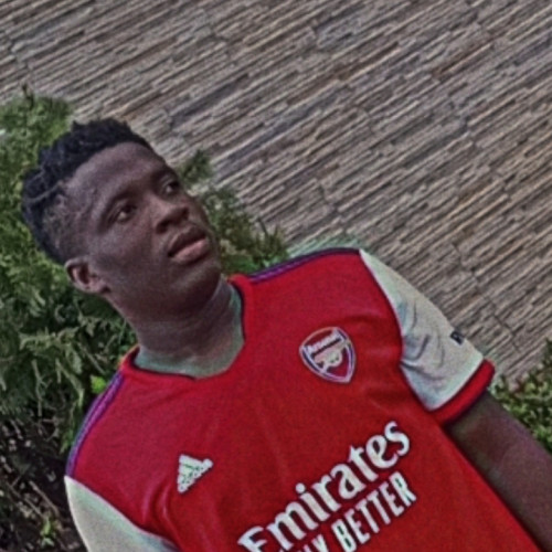 Anichebe  C. profile photo