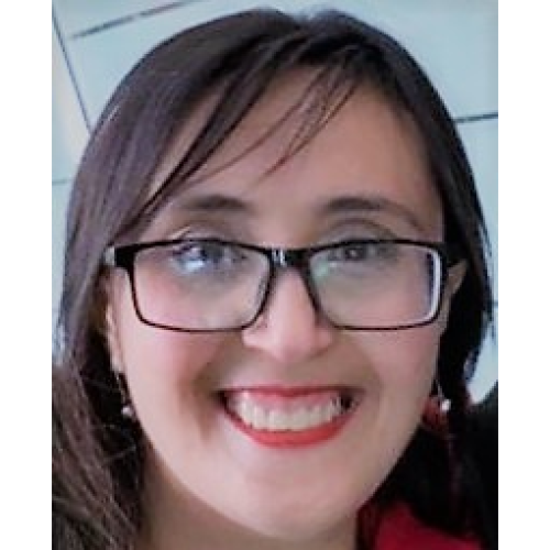 Hanan H. profile photo