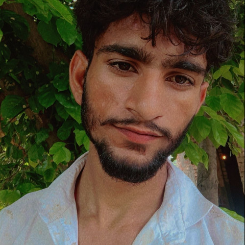 Ritik L. profile photo