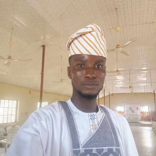 Oladejo  O. profile photo