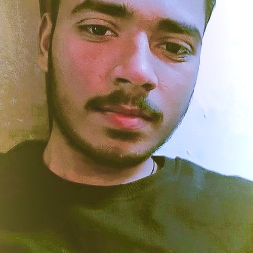 Sudhanshu S.
