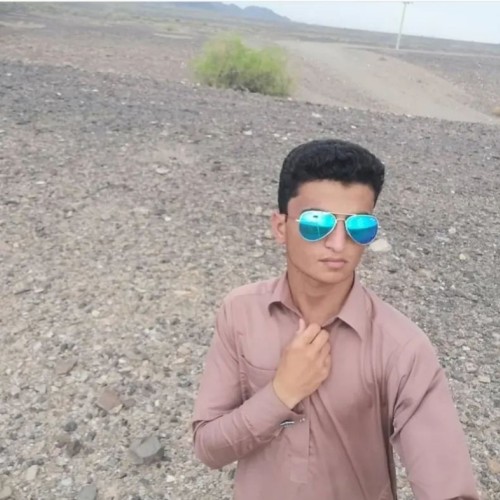 aref l.