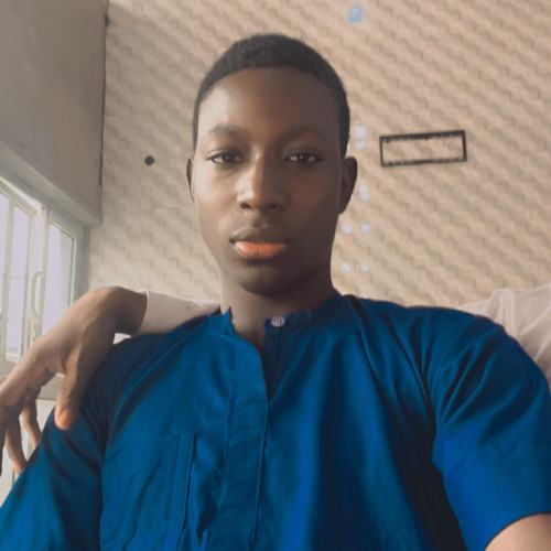 Olugbade  S. profile photo