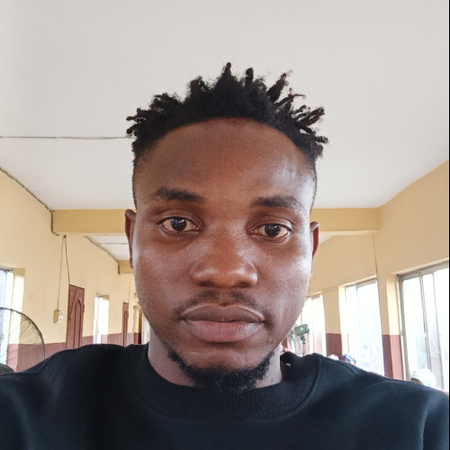 Ugochukwu  N. profile photo
