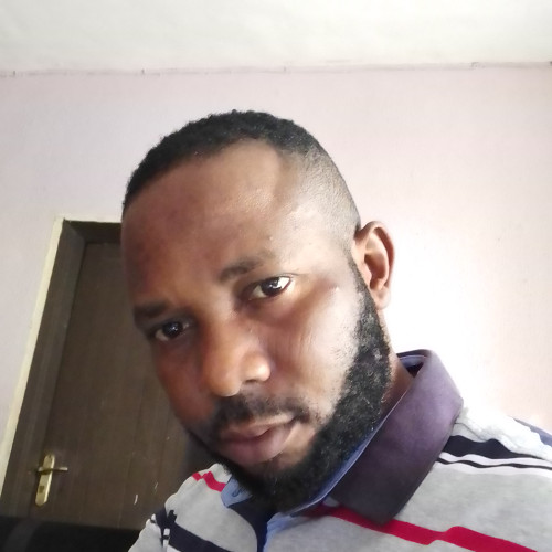 Ifeanyi P. profile photo