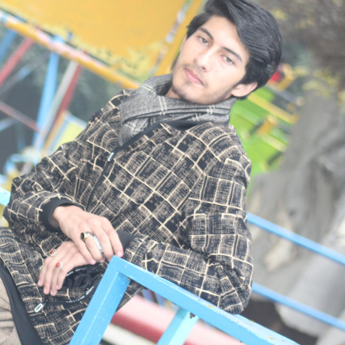 aleem a.