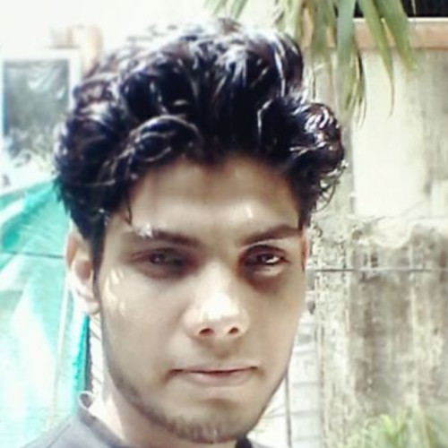 Avi B. profile photo