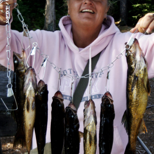 Tracey L. profile photo