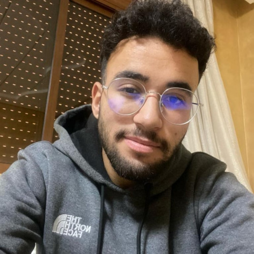 Mohamed A.