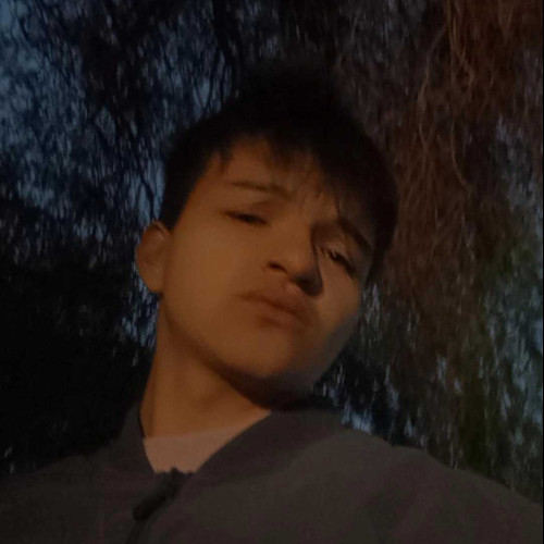 German A. profile photo