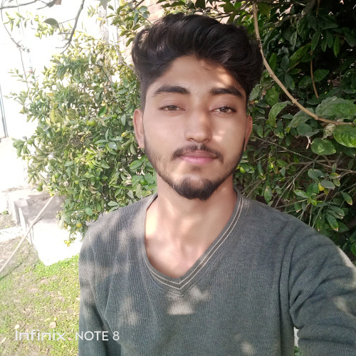 Ali R. profile photo