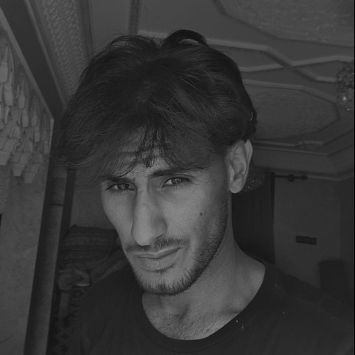 alaa eddine l.