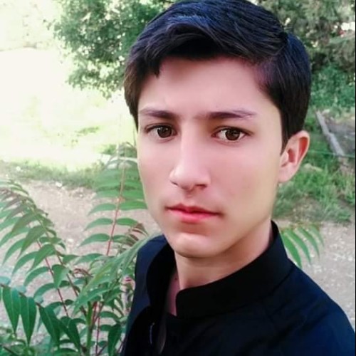 Muhammad S.