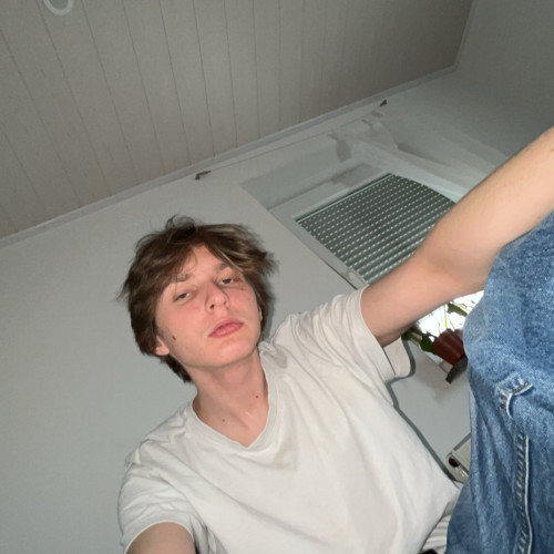 David S. profile photo