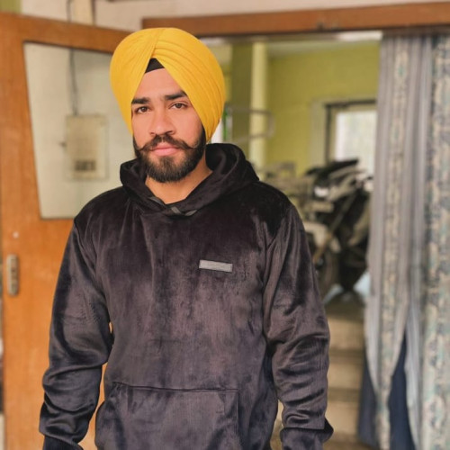 Raman D. profile photo