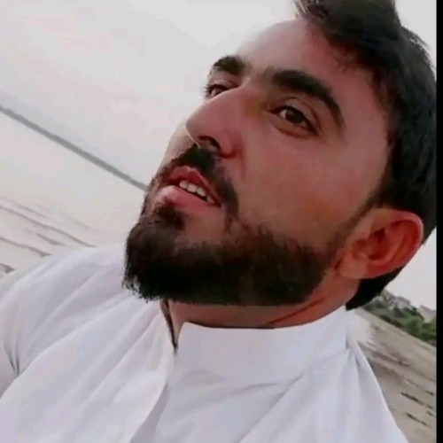 Muhammad  N.