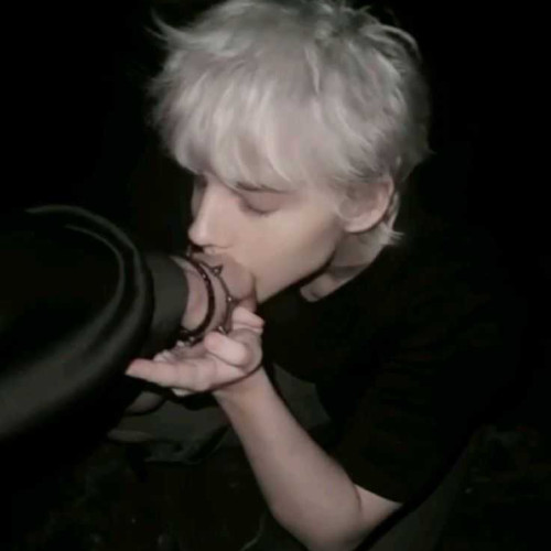 Dylan J. profile photo
