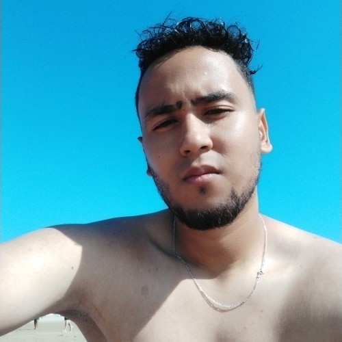chaouki r.