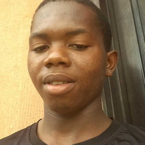 Newton  D. profile photo