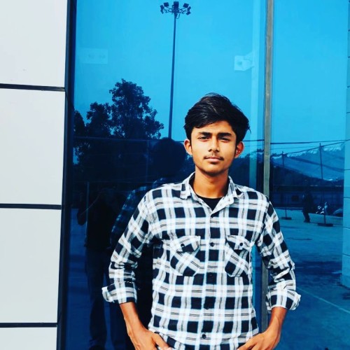 Raman D.