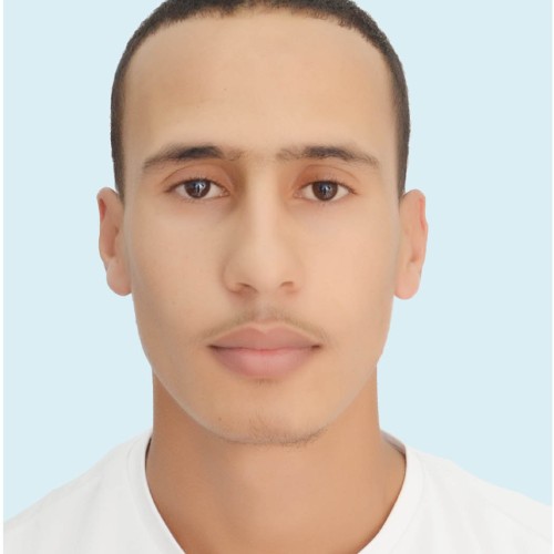 hamza z.