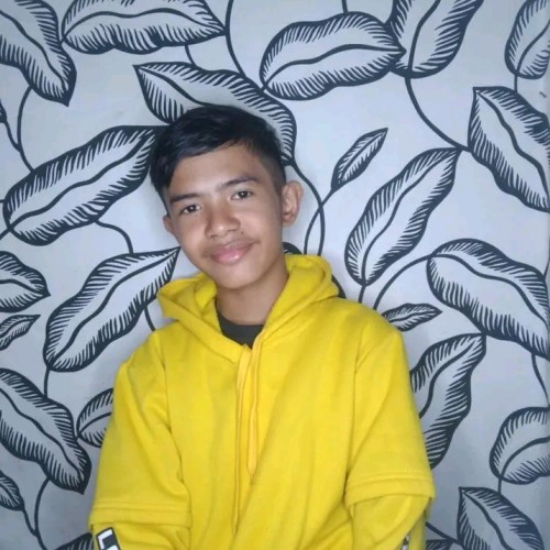 Alseddik M.