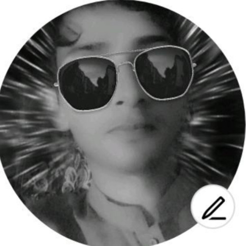 taimoorali t. profile photo