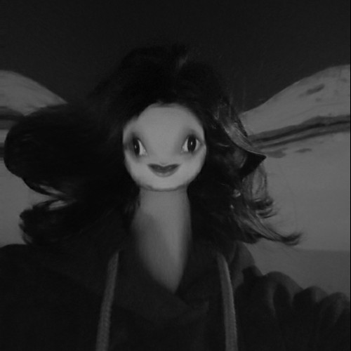 Sara M. profile photo