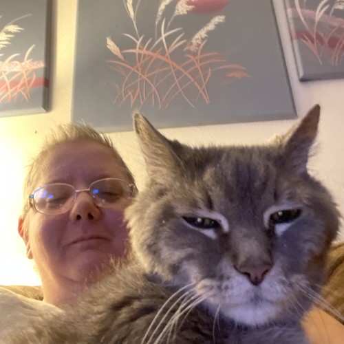 Tracy T. profile photo