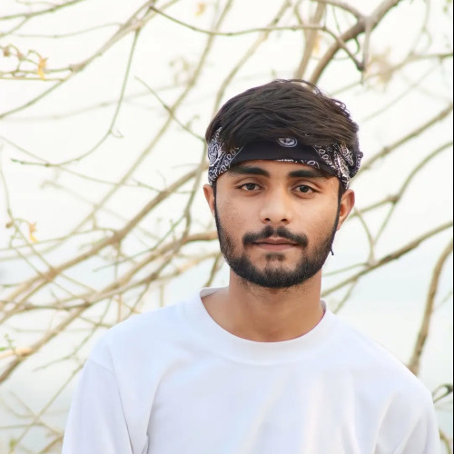 Vanvi A. profile photo