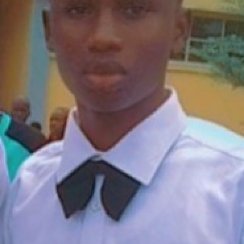 Ali F. profile photo