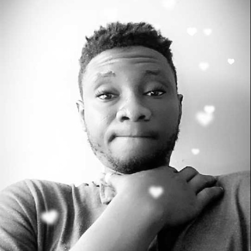 Michael l. profile photo