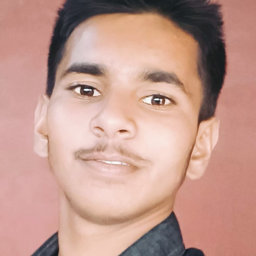 Altaf S. profile photo