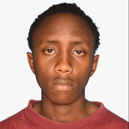 David K. profile photo