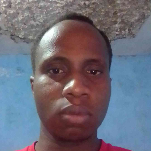 lewis k. profile photo