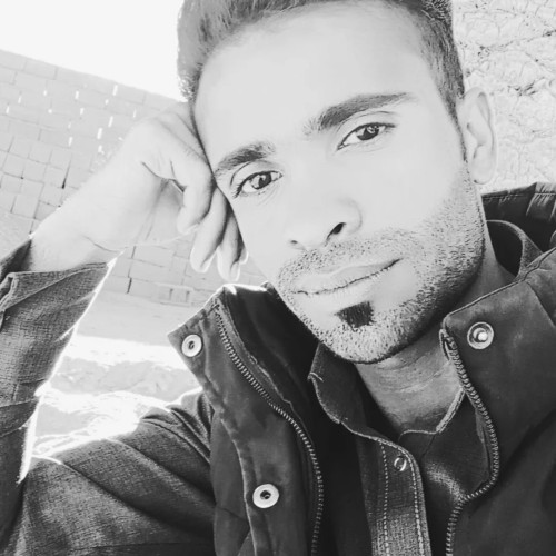 Amir  H. profile photo