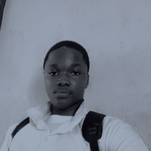 Oluwafemi O.