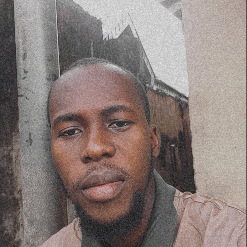 Ayodele O. profile photo