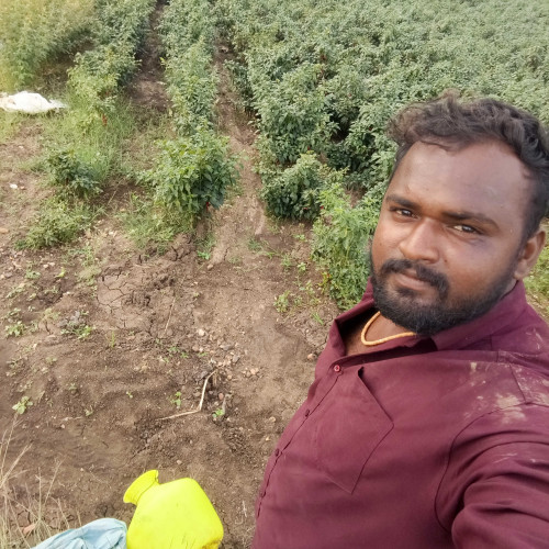 karthik k.