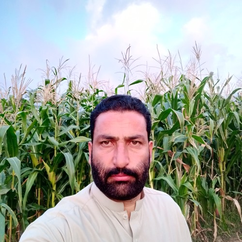 Islam Ali  K.