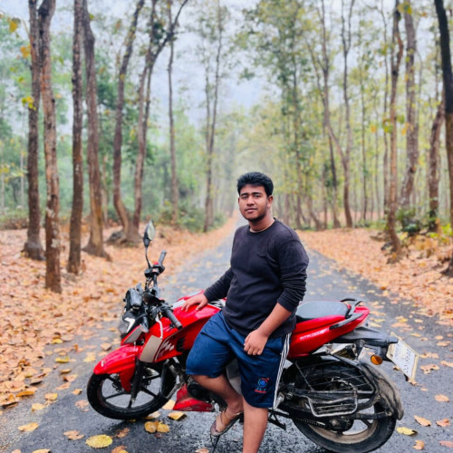 Nur  N. profile photo